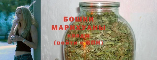 гидра Богданович