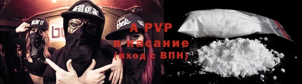 гидра Богданович