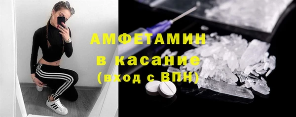 гидра Богданович
