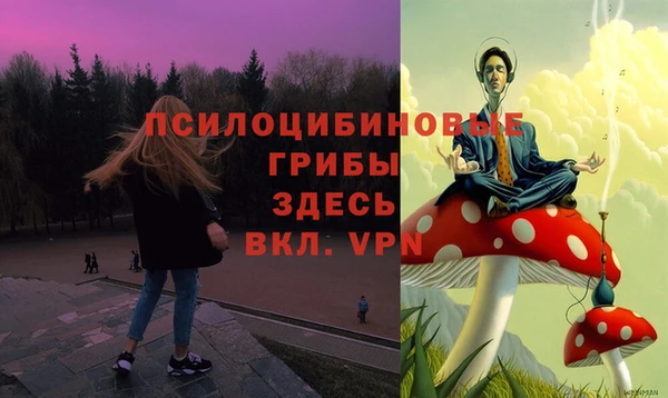 гидра Богданович