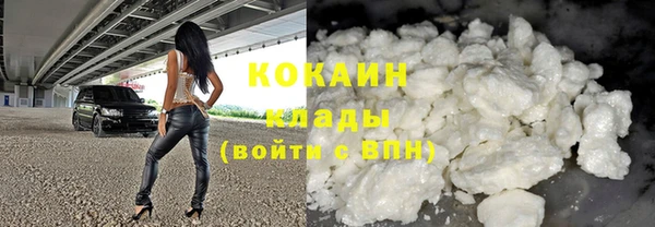 гидра Богданович
