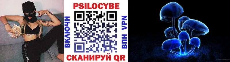 Псилоцибиновые грибы Psilocybine cubensis Краснотурьинск