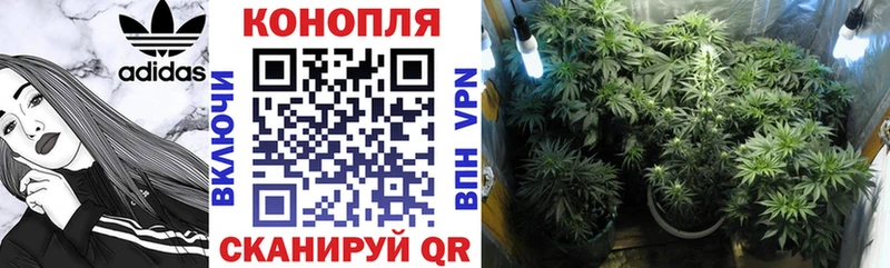 закладки  Краснотурьинск  Каннабис SATIVA & INDICA 
